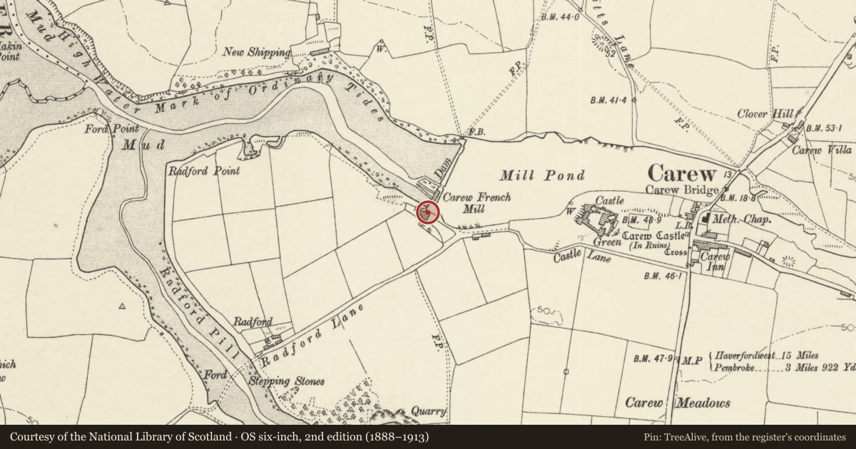 Ordnance Survey six-inch map, 2nd edition (1888–1913) covering the location of French Mill House, Carew, Pembrokeshire, with a pin at the register's coordinates