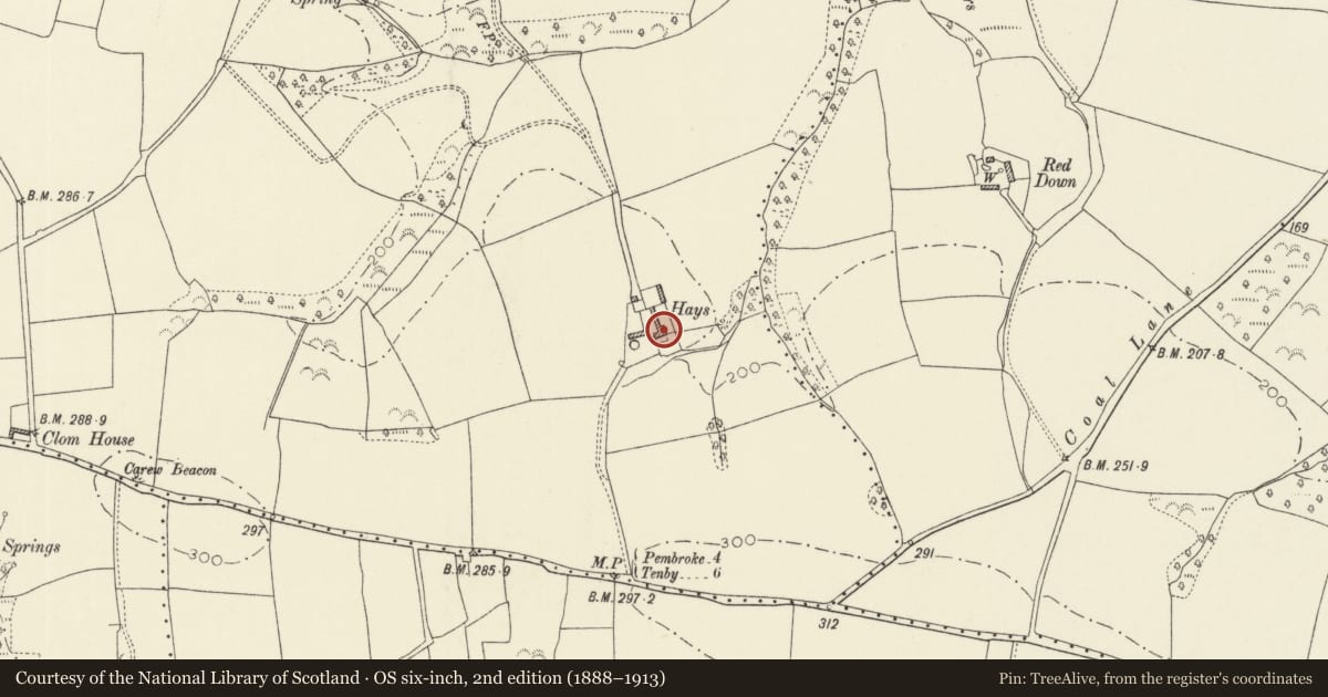 Ordnance Survey six-inch map, 2nd edition (1888–1913) covering the location of Hayes Farmhouse and Cartsheds, Carew, Pembrokeshire, with a pin at the register's coordinates