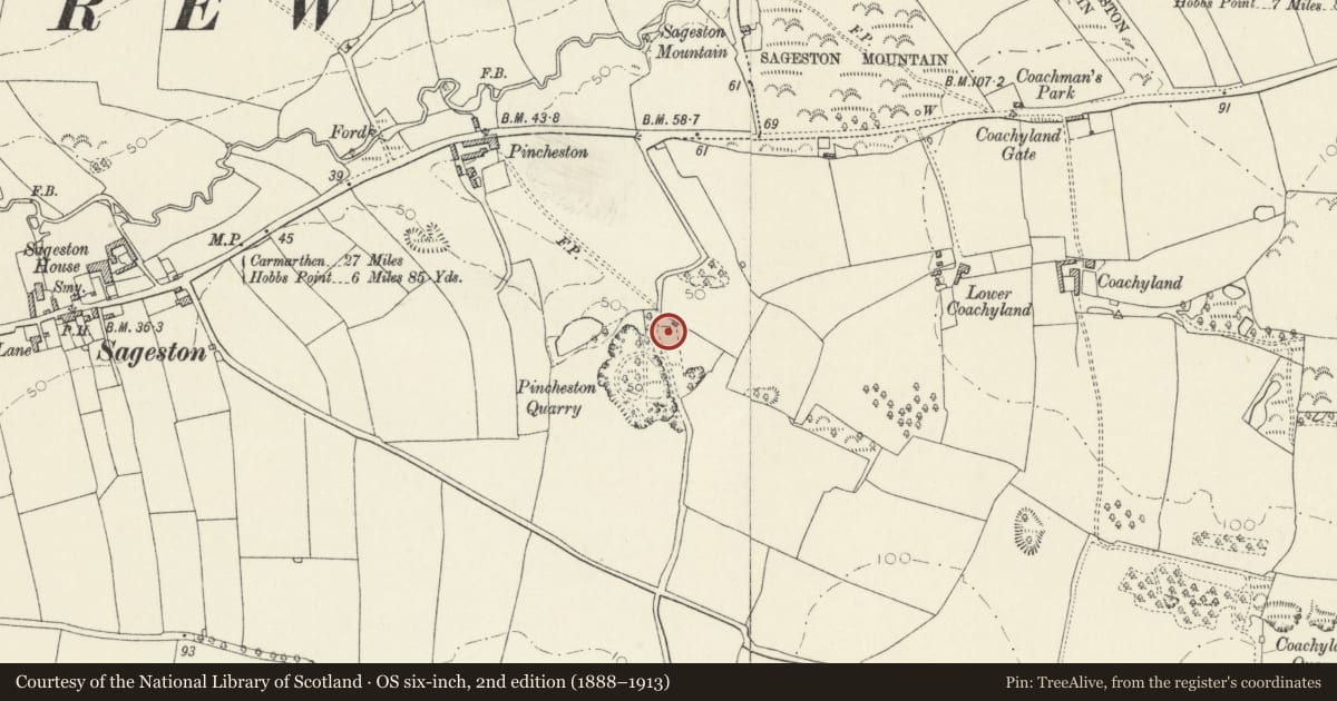 Ordnance Survey six-inch map, 2nd edition (1888–1913) covering the location of Pincheston Quarry Limekiln, Carew, Pembrokeshire, with a pin at the register's coordinates