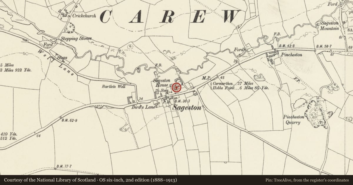 Ordnance Survey six-inch map, 2nd edition (1888–1913) covering the location of Sadgeston Hall and Granary, Carew, Pembrokeshire, with a pin at the register's coordinates