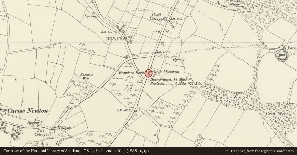 Ordnance Survey six-inch map, 2nd edition (1888–1913) covering the location of Milepost opposite turning to Pisgah, Carew, Pembrokeshire, with a pin at the register's coordinates