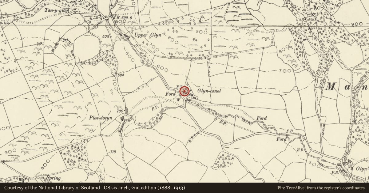 Ordnance Survey six-inch map, 2nd edition (1888–1913) covering the location of Glyn ganol, Manafon, Powys, with a pin at the register's coordinates