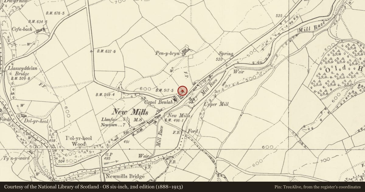 Ordnance Survey six-inch map, 2nd edition (1888–1913) covering the location of Mynachdy Sant Elias, Manafon, Powys, with a pin at the register's coordinates