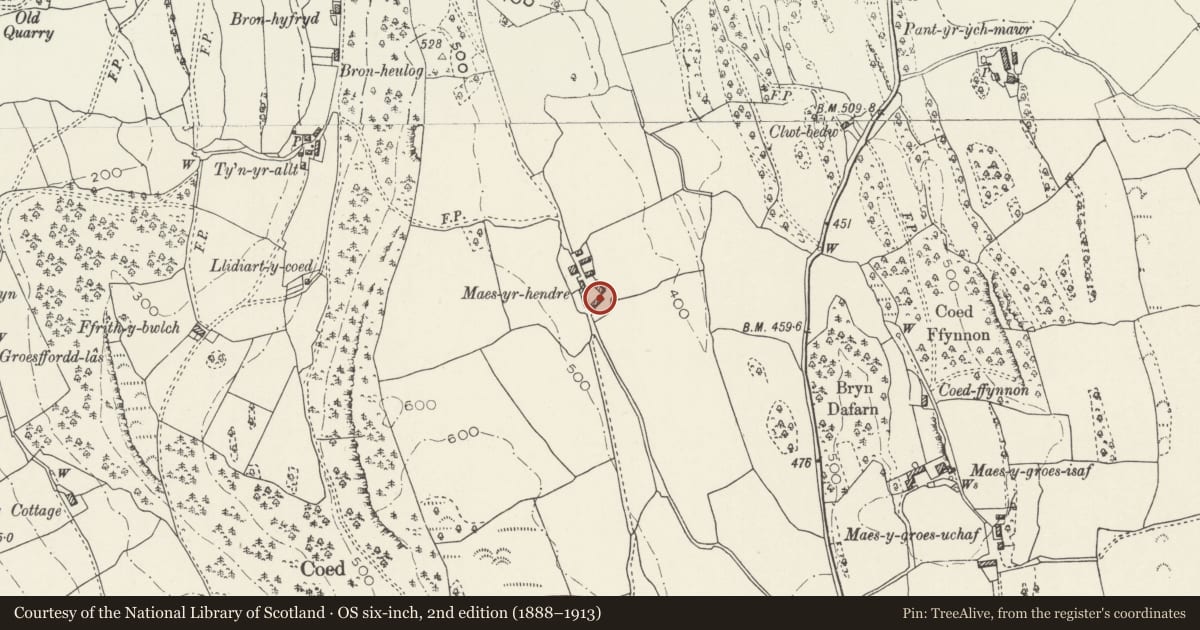 Ordnance Survey six-inch map, 2nd edition (1888–1913) covering the location of Former Carthouse Range at Maes-yr-Hendre Cottage, Llanddoged and Maenan, Conwy, with a pin at the register's coordinates