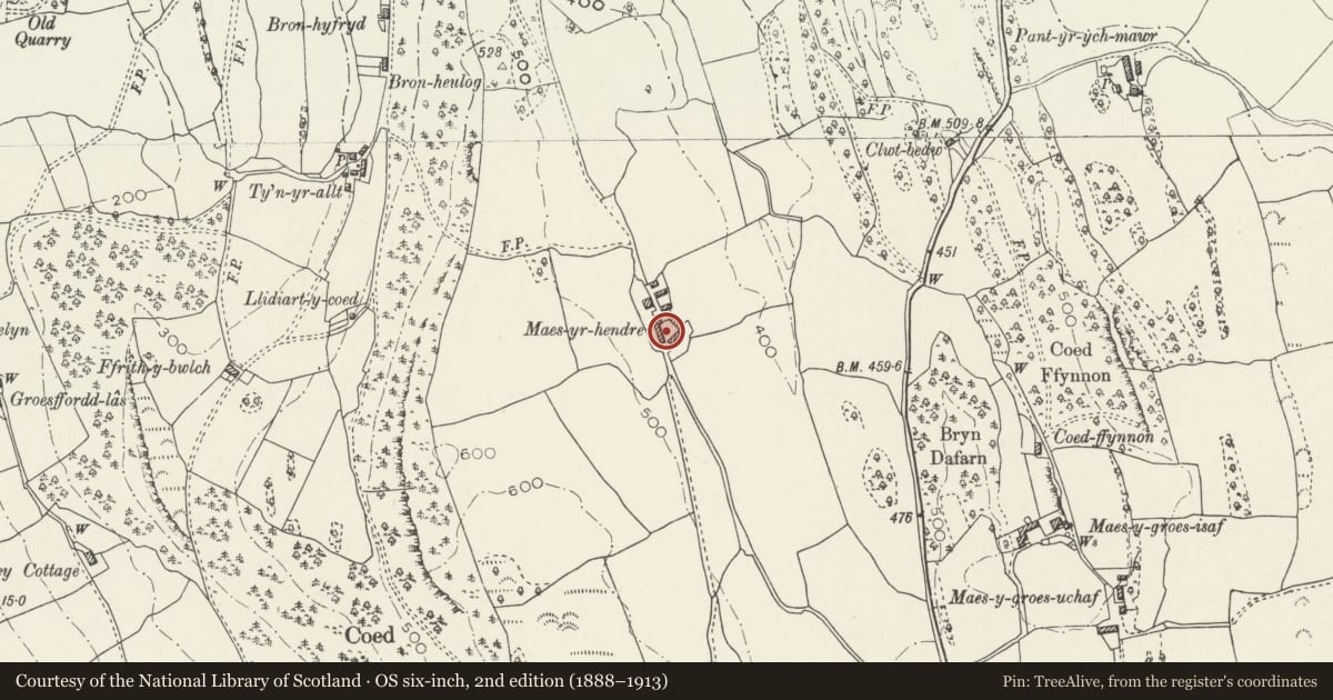 Ordnance Survey six-inch map, 2nd edition (1888–1913) covering the location of Former Brewhouse at Maes-yr-Hendre Cottage, Llanddoged and Maenan, Conwy, with a pin at the register's coordinates