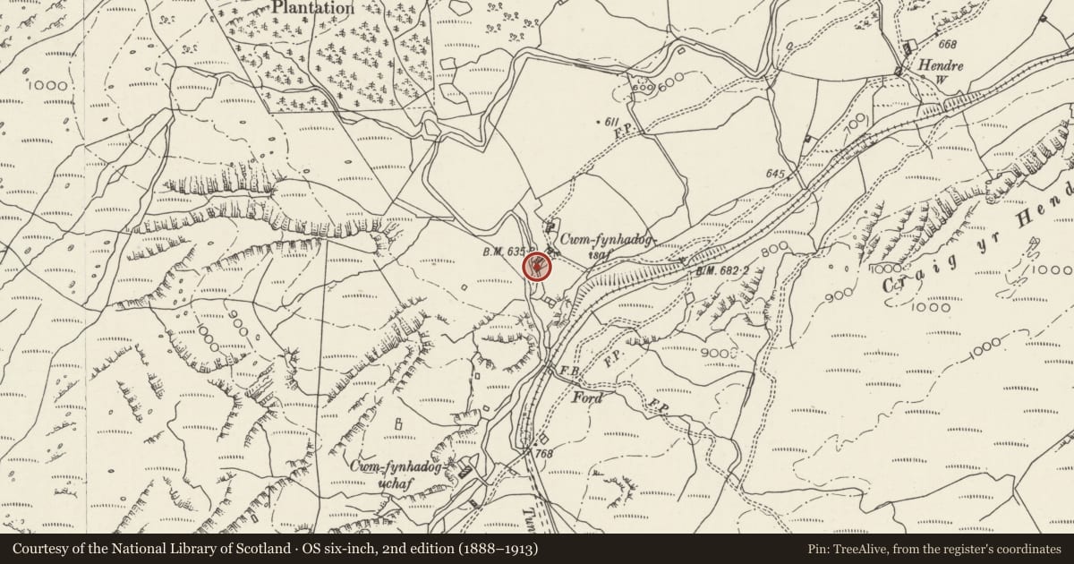 Ordnance Survey six-inch map, 2nd edition (1888–1913) covering the location of Stable Block at Cwm Fynhadog-Isaf, Dolwyddelan, Conwy, with a pin at the register's coordinates