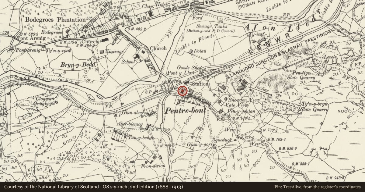 Ordnance Survey six-inch map, 2nd edition (1888–1913) covering the location of Capel Isaf, Dolwyddelan, Conwy, with a pin at the register's coordinates