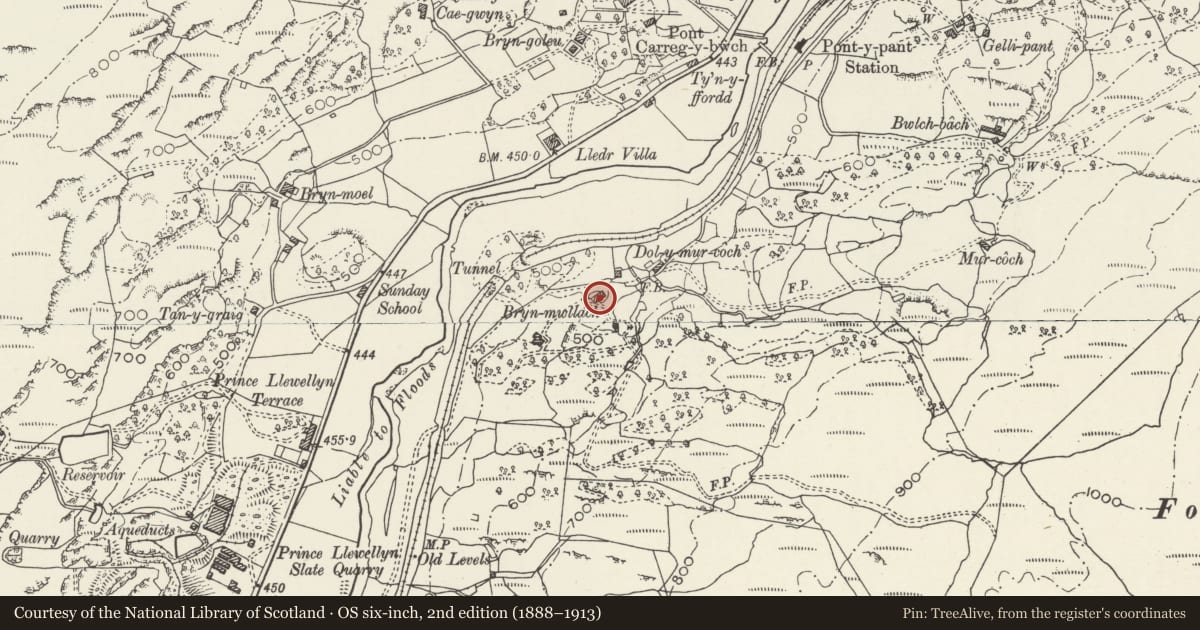 Ordnance Survey six-inch map, 2nd edition (1888–1913) covering the location of Bryn Mwllach, Dolwyddelan, Conwy, with a pin at the register's coordinates
