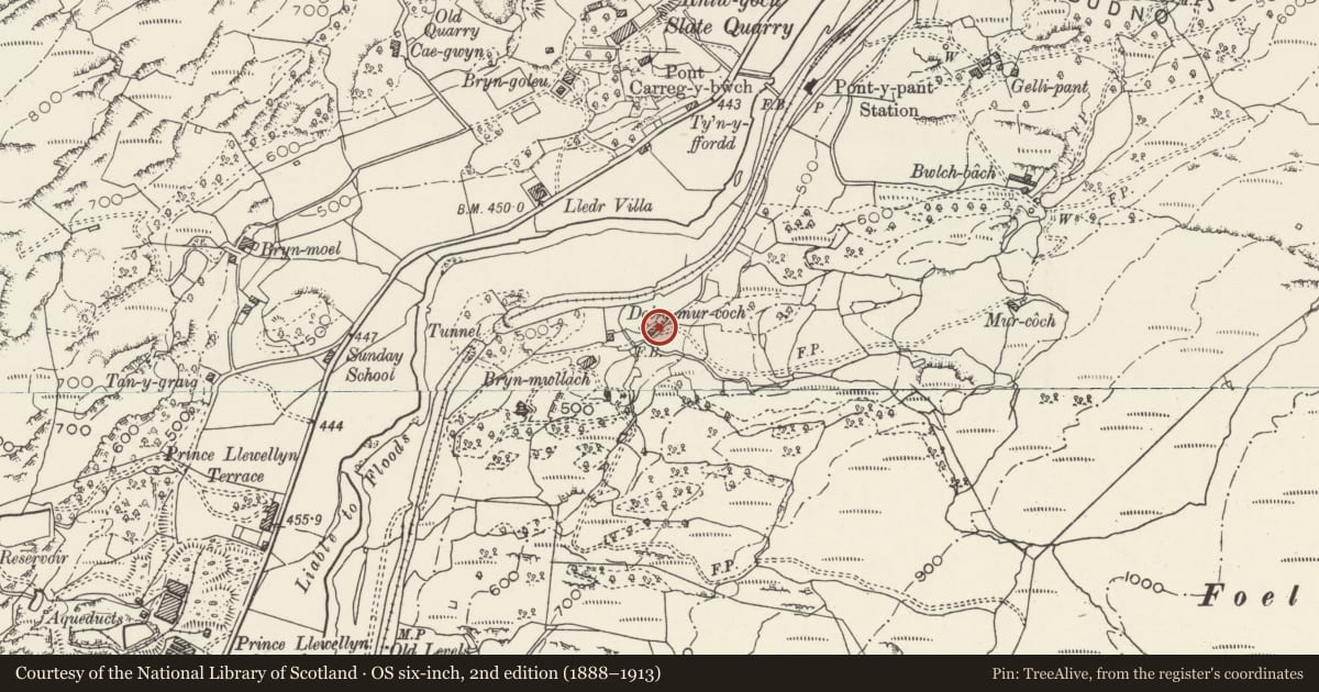 Ordnance Survey six-inch map, 2nd edition (1888–1913) covering the location of Former House and Byre at Dol-y-Mur Goch, Dolwyddelan, Conwy, with a pin at the register's coordinates