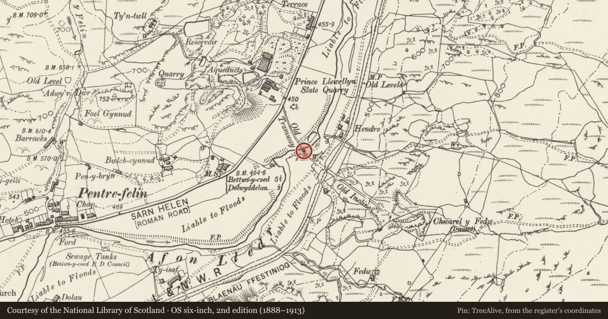 Ordnance Survey six-inch map, 2nd edition (1888–1913) covering the location of Bridge and Causeway to Former Quarry at Chwarel-y-Fedw, Dolwyddelan, Conwy, with a pin at the register's coordinates
