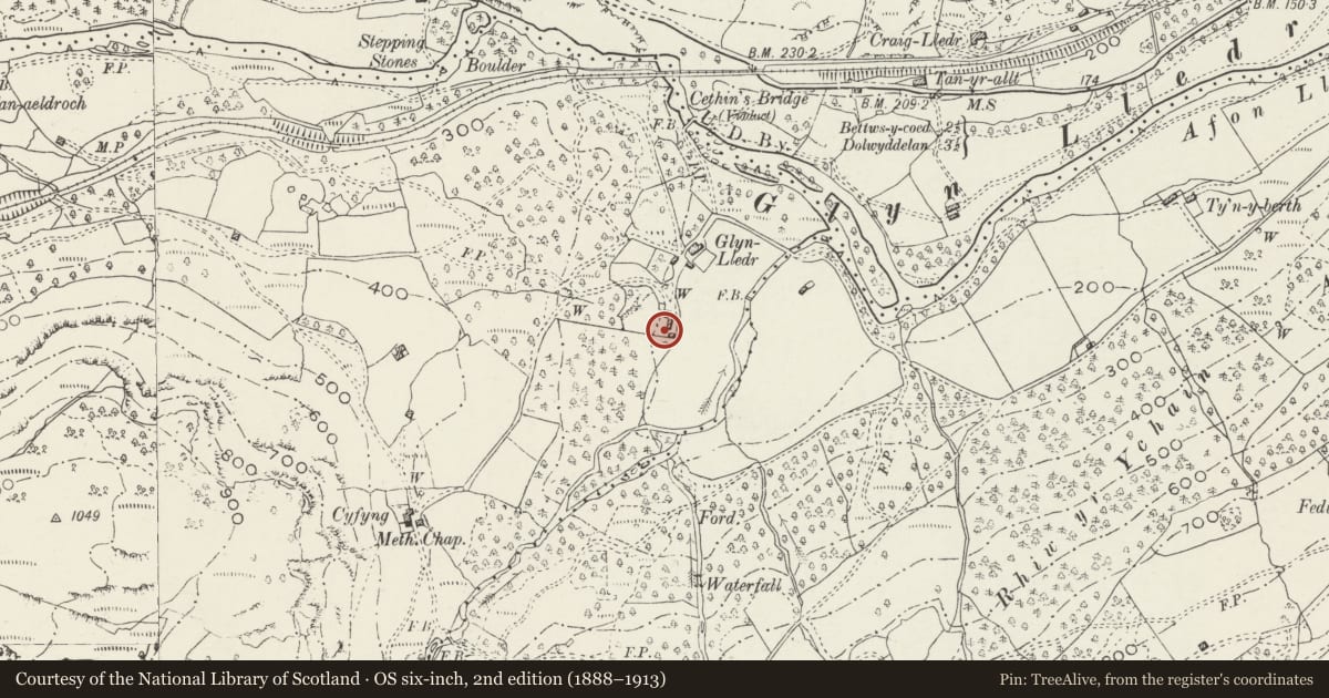 Ordnance Survey six-inch map, 2nd edition (1888–1913) covering the location of Agricultural Range SW of Glyn Lledr, Dolwyddelan, Conwy, with a pin at the register's coordinates