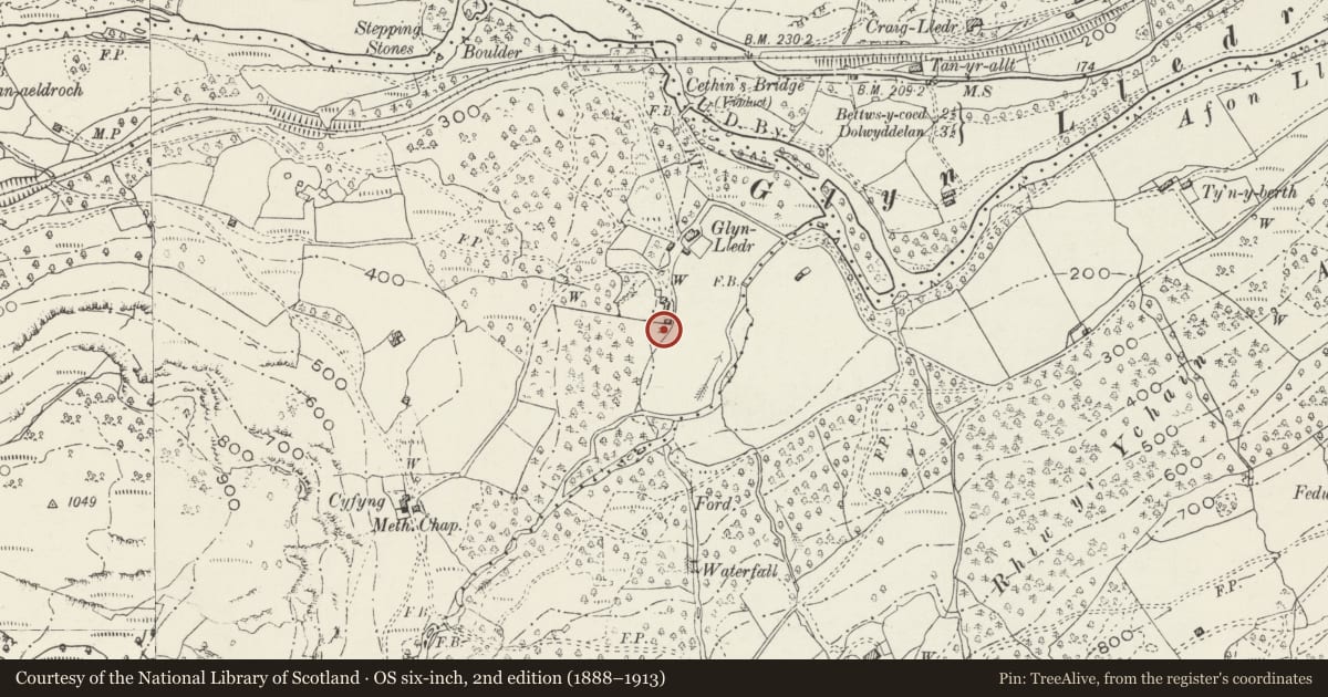 Ordnance Survey six-inch map, 2nd edition (1888–1913) covering the location of Carthouse SW of Glyn Lledr, Dolwyddelan, Conwy, with a pin at the register's coordinates
