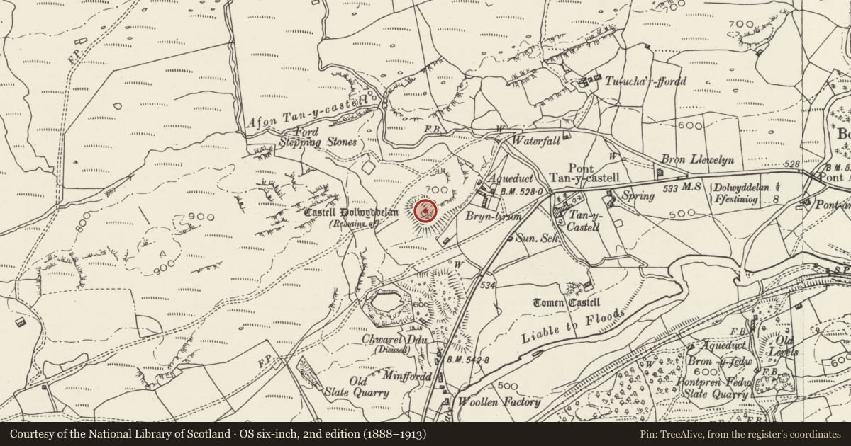 Ordnance Survey six-inch map, 2nd edition (1888–1913) covering the location of Dolwyddelan Castle, Conwy, with a pin at the register's coordinates