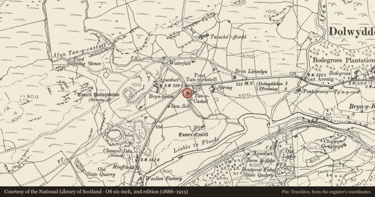 Ordnance Survey six-inch map, 2nd edition (1888–1913) covering the location of Nos 1 and 2 Tan-y-Castell, Dolwyddelan, Conwy, with a pin at the register's coordinates