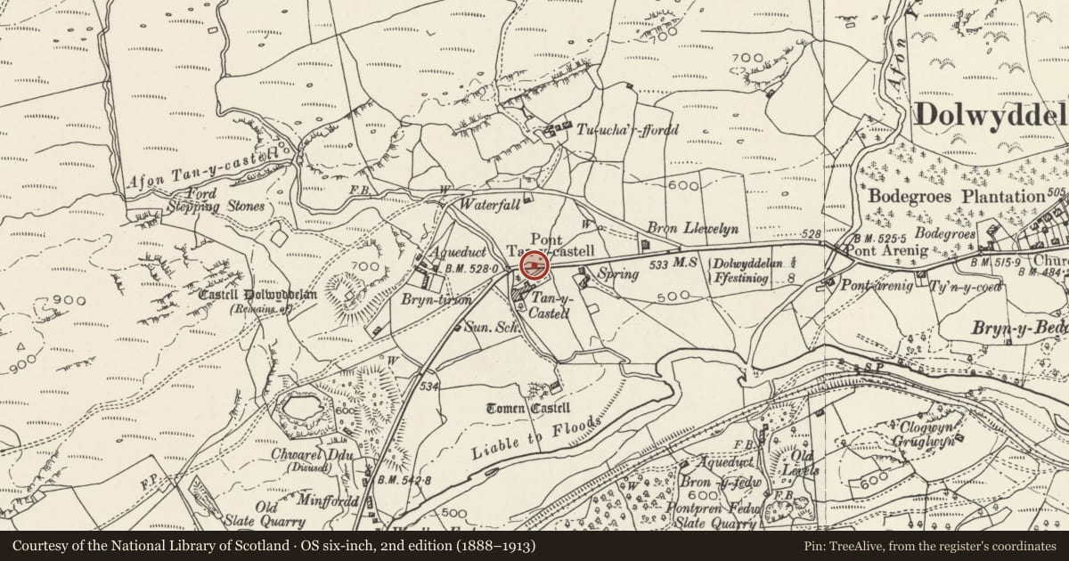 Ordnance Survey six-inch map, 2nd edition (1888–1913) covering the location of Tan-y-Castell Monument, Dolwyddelan, Conwy, with a pin at the register's coordinates