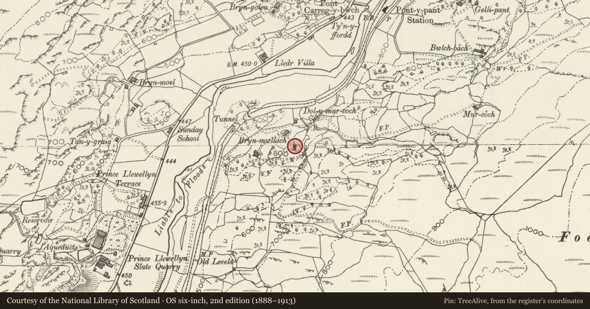 Ordnance Survey six-inch map, 2nd edition (1888–1913) covering the location of Former Dairy-house at Bryn Mwllach, Dolwyddelan, Conwy, with a pin at the register's coordinates
