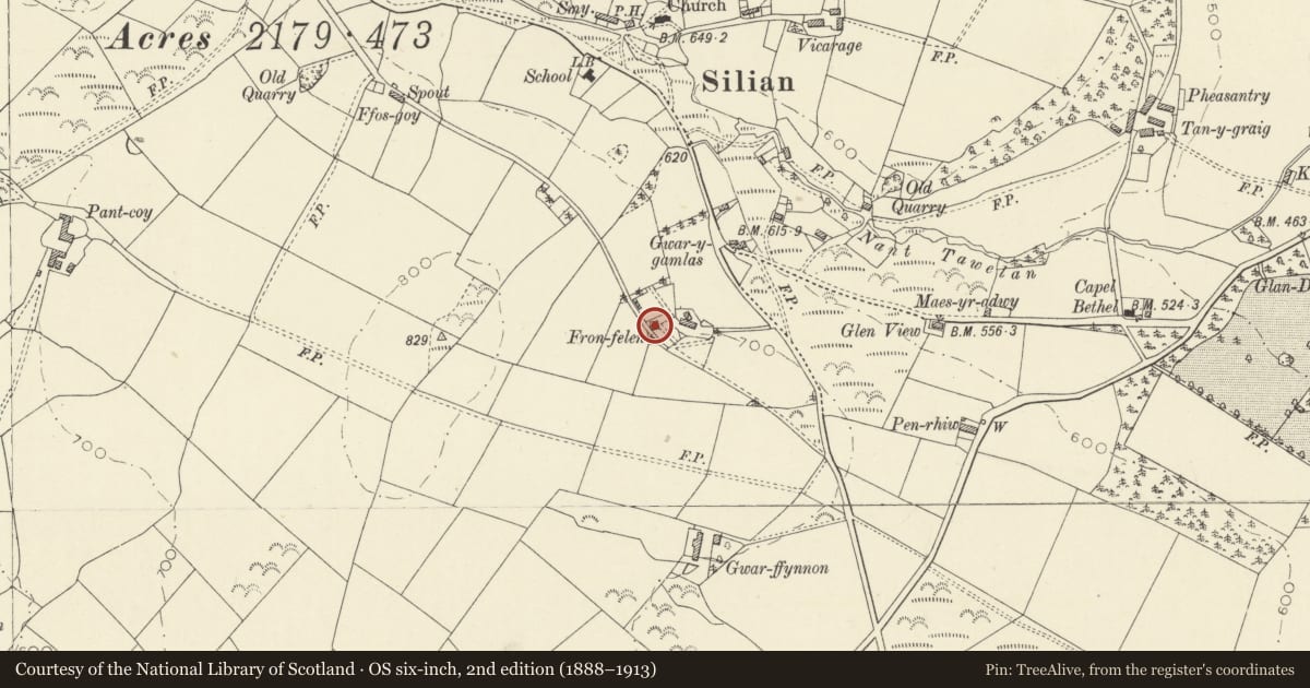 Ordnance Survey six-inch map, 2nd edition (1888–1913) covering the location of Ffronfelen, Llangybi, Ceredigion, with a pin at the register's coordinates