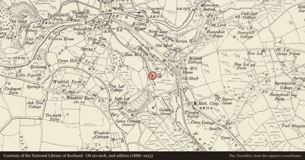 Ordnance Survey six-inch map, 2nd edition (1888–1913) covering the location of Walls and Kilns above Furnace Bank, Kilgetty/Begelly, Pembrokeshire, with a pin at the register's coordinates