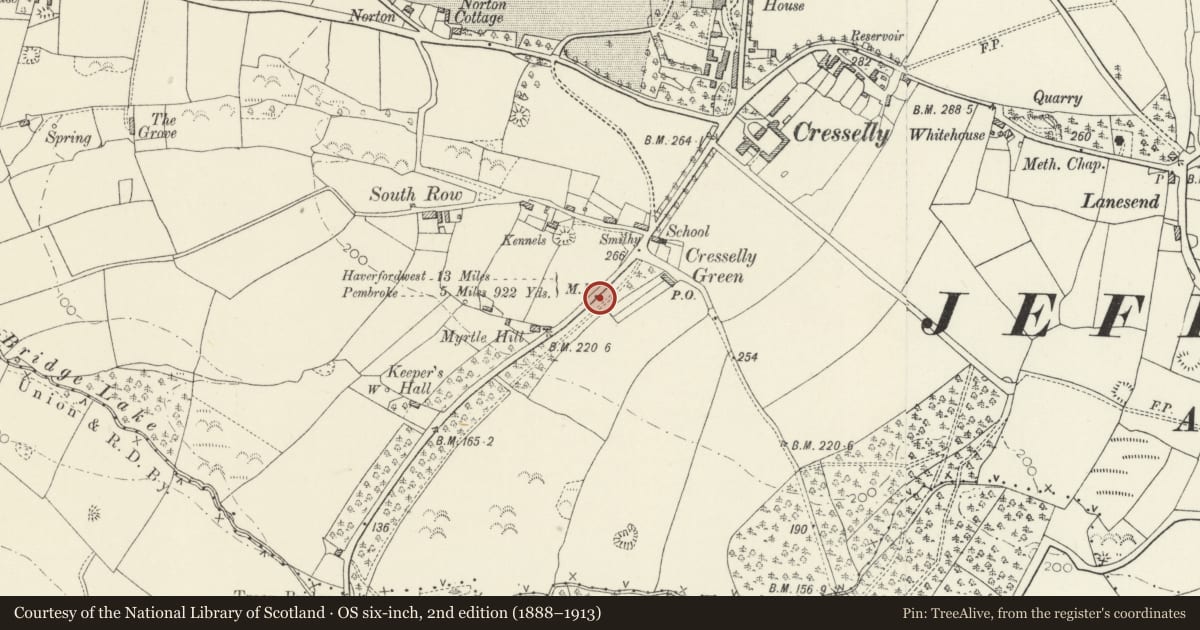 Ordnance Survey six-inch map, 2nd edition (1888–1913) covering the location of Milepost on A4075, Jeffreyston, Pembrokeshire, with a pin at the register's coordinates