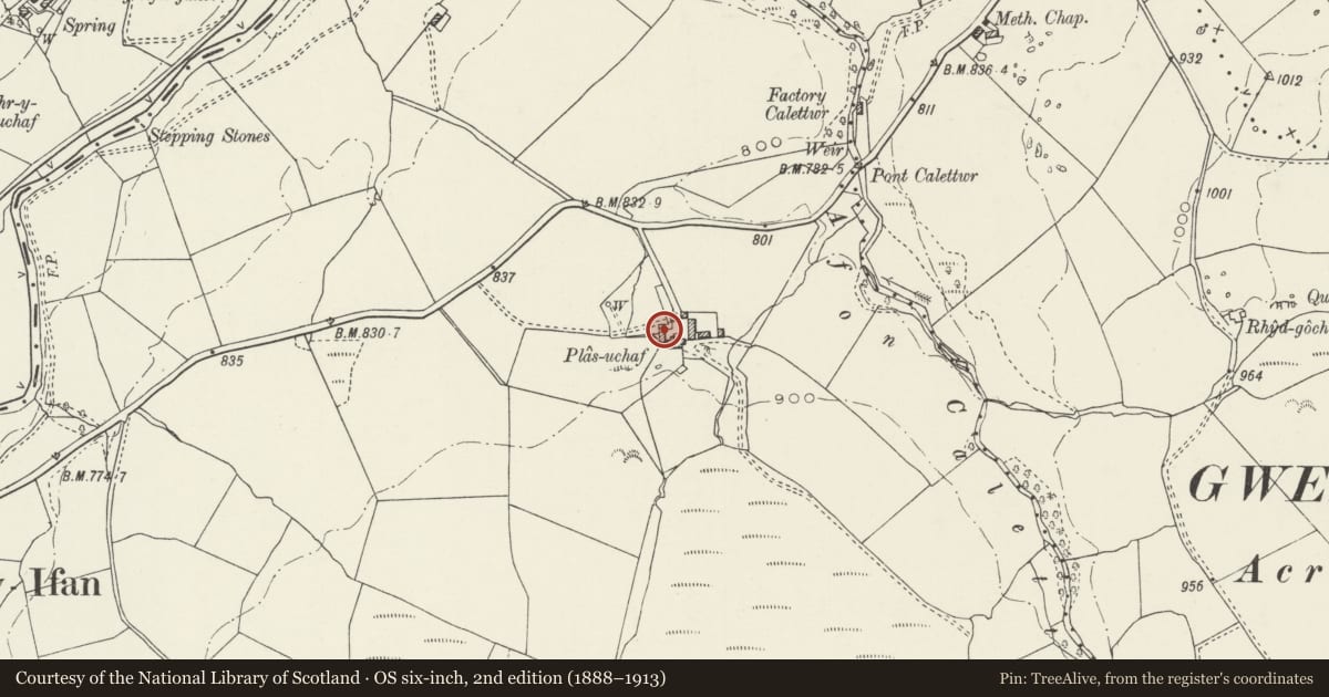 Ordnance Survey six-inch map, 2nd edition (1888–1913) covering the location of Former House and adjoining Washhouse at Plas Uchaf, Ysbyty Ifan, Conwy, with a pin at the register's coordinates