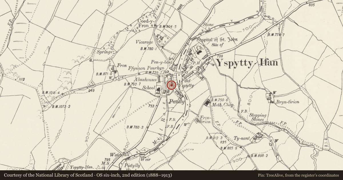 Ordnance Survey six-inch map, 2nd edition (1888–1913) covering the location of Ty Newydd (2), Ysbyty Ifan, Conwy, with a pin at the register's coordinates