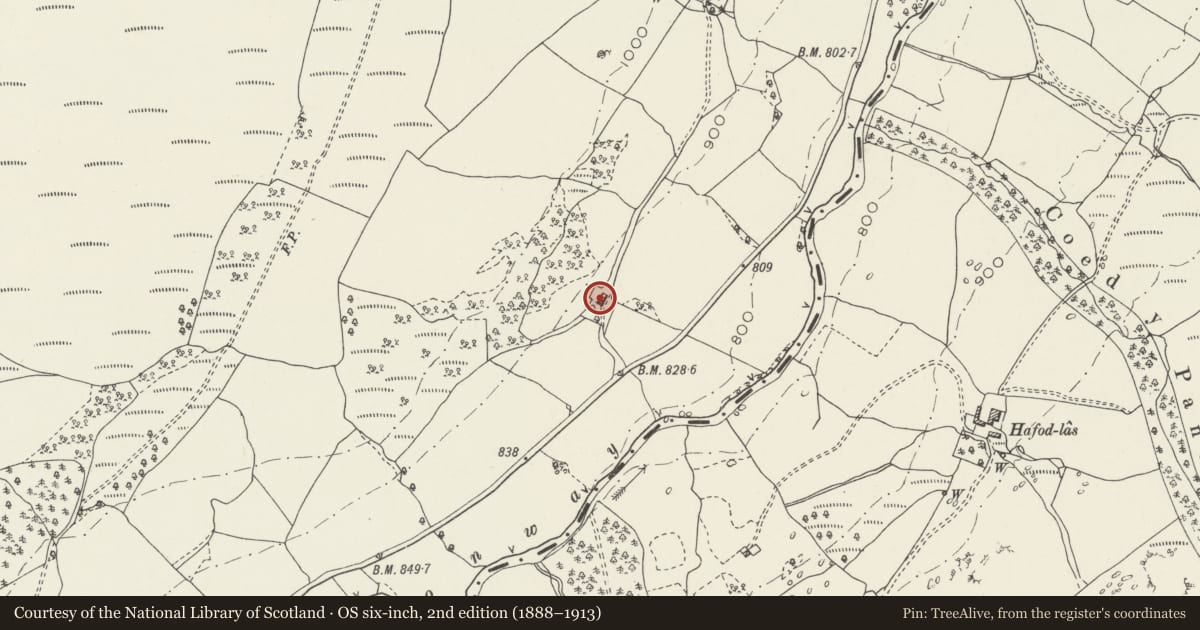 Ordnance Survey six-inch map, 2nd edition (1888–1913) covering the location of Field Barn S of Hafod Ifan, Ysbyty Ifan, Conwy, with a pin at the register's coordinates