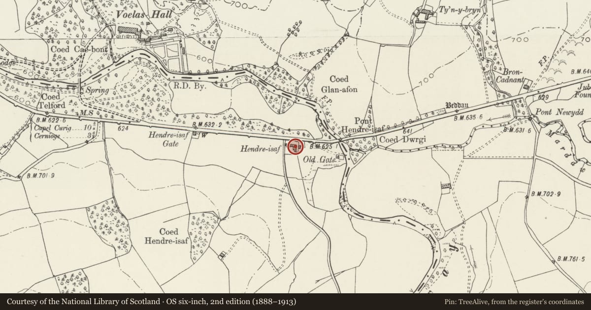 Ordnance Survey six-inch map, 2nd edition (1888–1913) covering the location of Hendre Isaf, Ysbyty Ifan, Conwy, with a pin at the register's coordinates