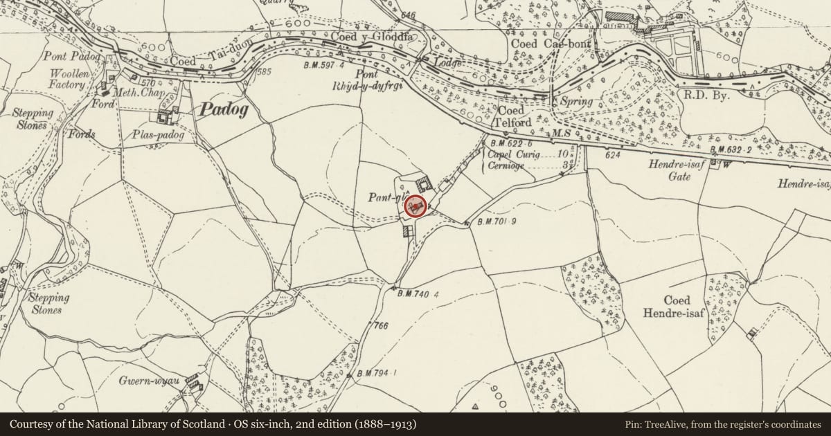 Ordnance Survey six-inch map, 2nd edition (1888–1913) covering the location of Pant Glas Farmhouse, Ysbyty Ifan, Conwy, with a pin at the register's coordinates