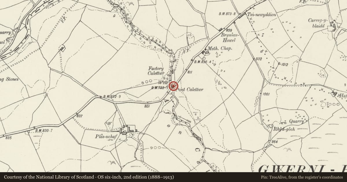Ordnance Survey six-inch map, 2nd edition (1888–1913) covering the location of Pont Caletwr, Ysbyty Ifan, Conwy, with a pin at the register's coordinates