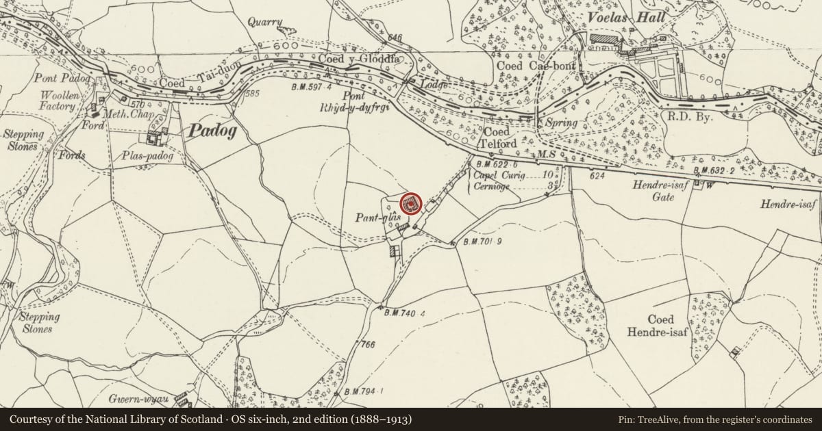 Ordnance Survey six-inch map, 2nd edition (1888–1913) covering the location of Agricultural Complex at Pant Glas, Ysbyty Ifan, Conwy, with a pin at the register's coordinates