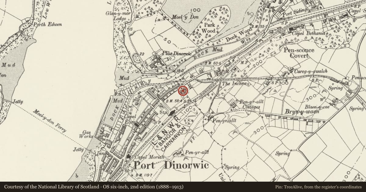 Ordnance Survey six-inch map, 2nd edition (1888–1913) covering the location of Cae Gwyn, Y Felinheli, Gwynedd, with a pin at the register's coordinates