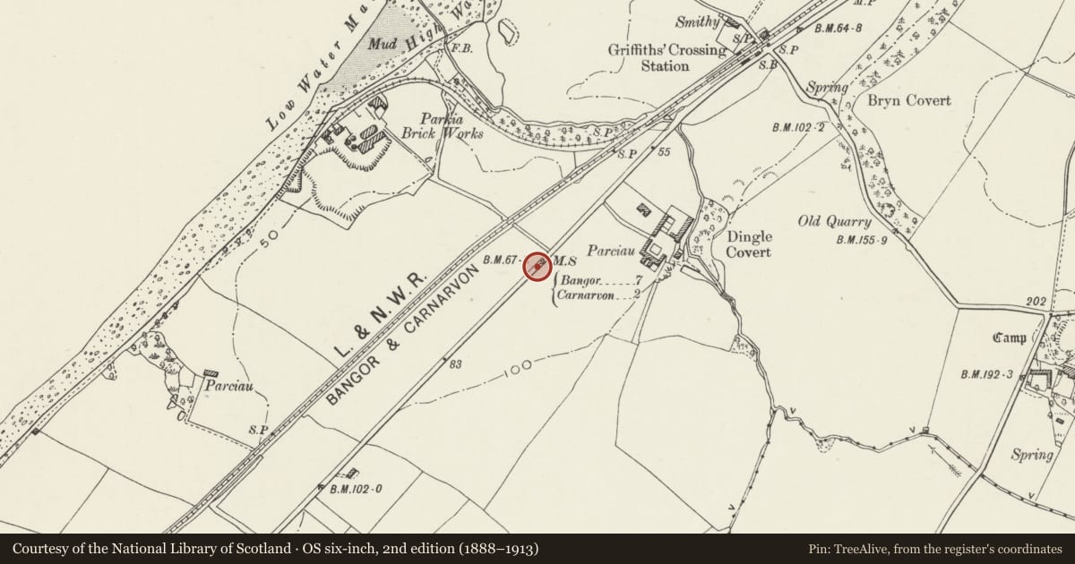Ordnance Survey six-inch map, 2nd edition (1888–1913) covering the location of Milestone on A487, Y Felinheli, Gwynedd, with a pin at the register's coordinates