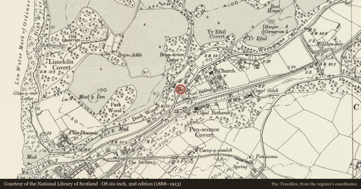 Ordnance Survey six-inch map, 2nd edition (1888–1913) covering the location of Y Fron, Y Felinheli, Gwynedd, with a pin at the register's coordinates