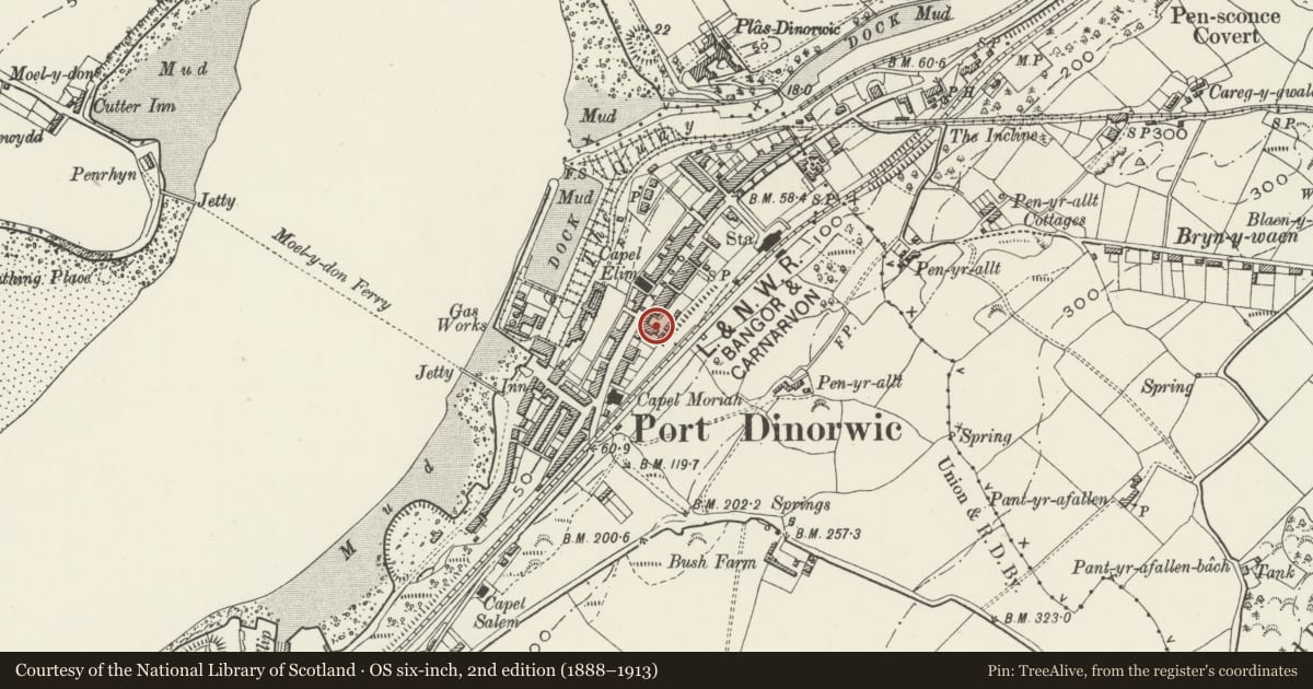 Ordnance Survey six-inch map, 2nd edition (1888–1913) covering the location of Arvonia, Y Felinheli, Gwynedd, with a pin at the register's coordinates