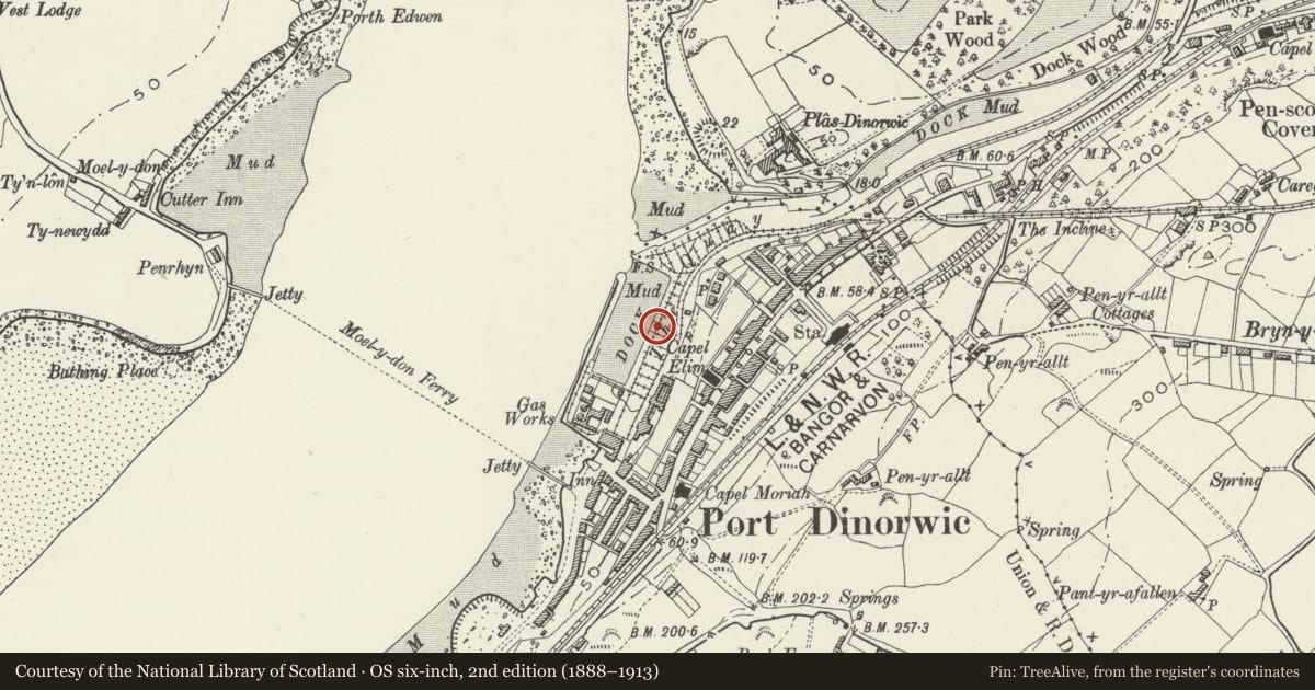 Ordnance Survey six-inch map, 2nd edition (1888–1913) covering the location of South Dock and quay walls at Y Felinheli, Gwynedd, with a pin at the register's coordinates
