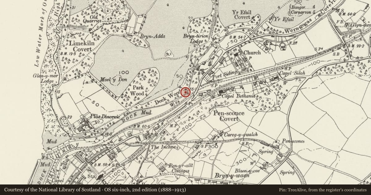 Ordnance Survey six-inch map, 2nd edition (1888–1913) covering the location of Vaynol Park Wall (the part in Y Felinheli Community), Gwynedd, with a pin at the register's coordinates
