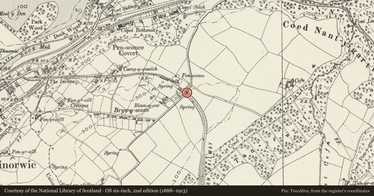 Ordnance Survey six-inch map, 2nd edition (1888–1913) covering the location of Road Bridge over former Padarn Railway, Y Felinheli, Gwynedd, with a pin at the register's coordinates