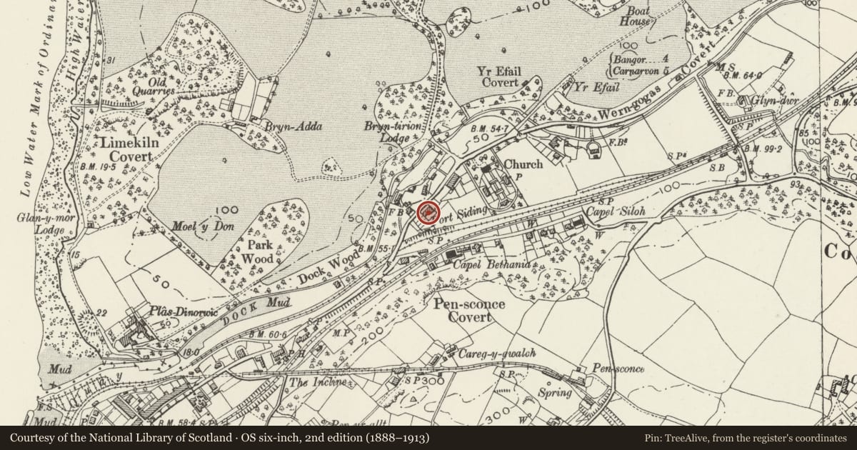Ordnance Survey six-inch map, 2nd edition (1888–1913) covering the location of Cae Glas, Y Felinheli, Gwynedd, with a pin at the register's coordinates