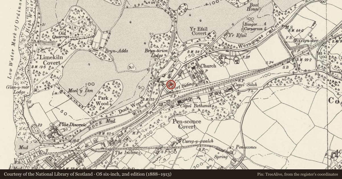 Ordnance Survey six-inch map, 2nd edition (1888–1913) covering the location of Cae Glas, Y Felinheli, Gwynedd, with a pin at the register's coordinates