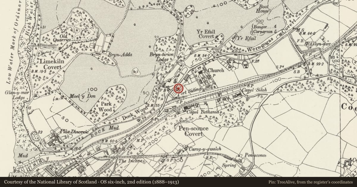 Ordnance Survey six-inch map, 2nd edition (1888–1913) covering the location of Cae Glas, Y Felinheli, Gwynedd, with a pin at the register's coordinates