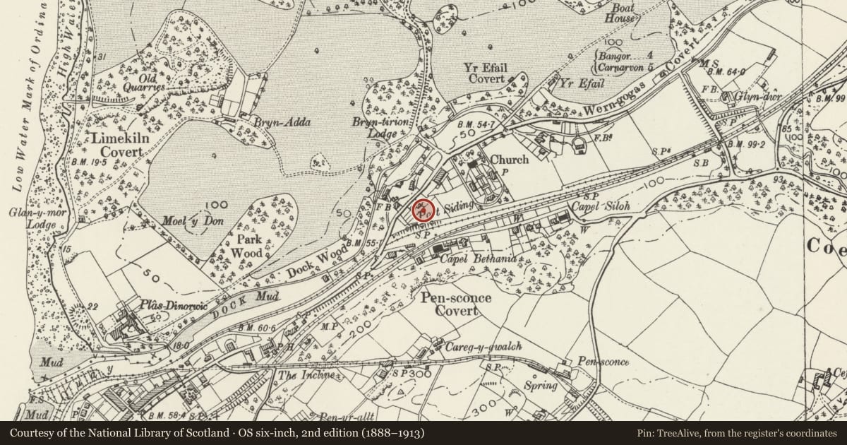 Ordnance Survey six-inch map, 2nd edition (1888–1913) covering the location of Cae Glas, Y Felinheli, Gwynedd, with a pin at the register's coordinates
