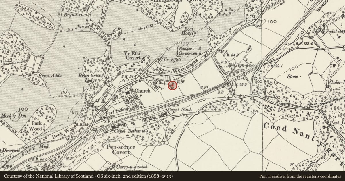 Ordnance Survey six-inch map, 2nd edition (1888–1913) covering the location of Singrig, Y Felinheli, Gwynedd, with a pin at the register's coordinates