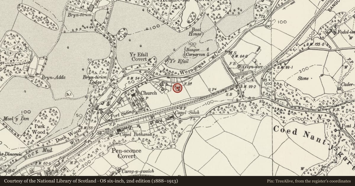 Ordnance Survey six-inch map, 2nd edition (1888–1913) covering the location of Singrig, Y Felinheli, Gwynedd, with a pin at the register's coordinates
