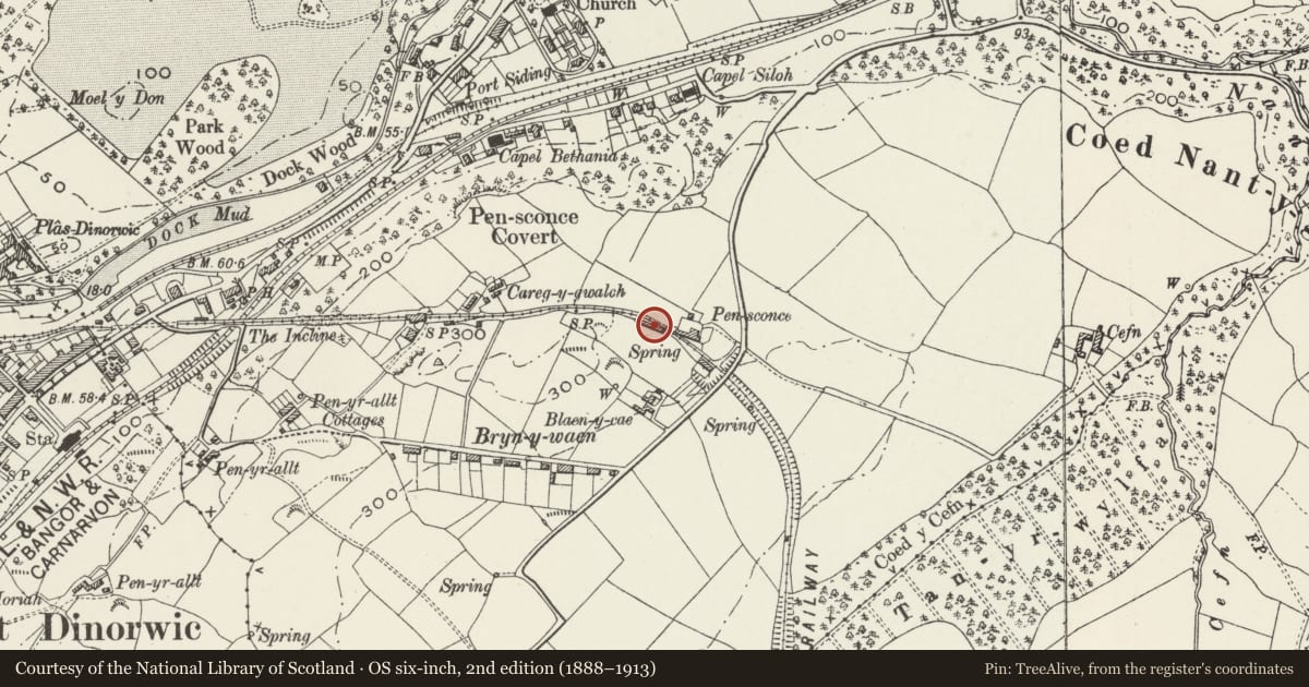 Ordnance Survey six-inch map, 2nd edition (1888–1913) covering the location of Engine Shed on former Padarn Railway, Y Felinheli, Gwynedd, with a pin at the register's coordinates