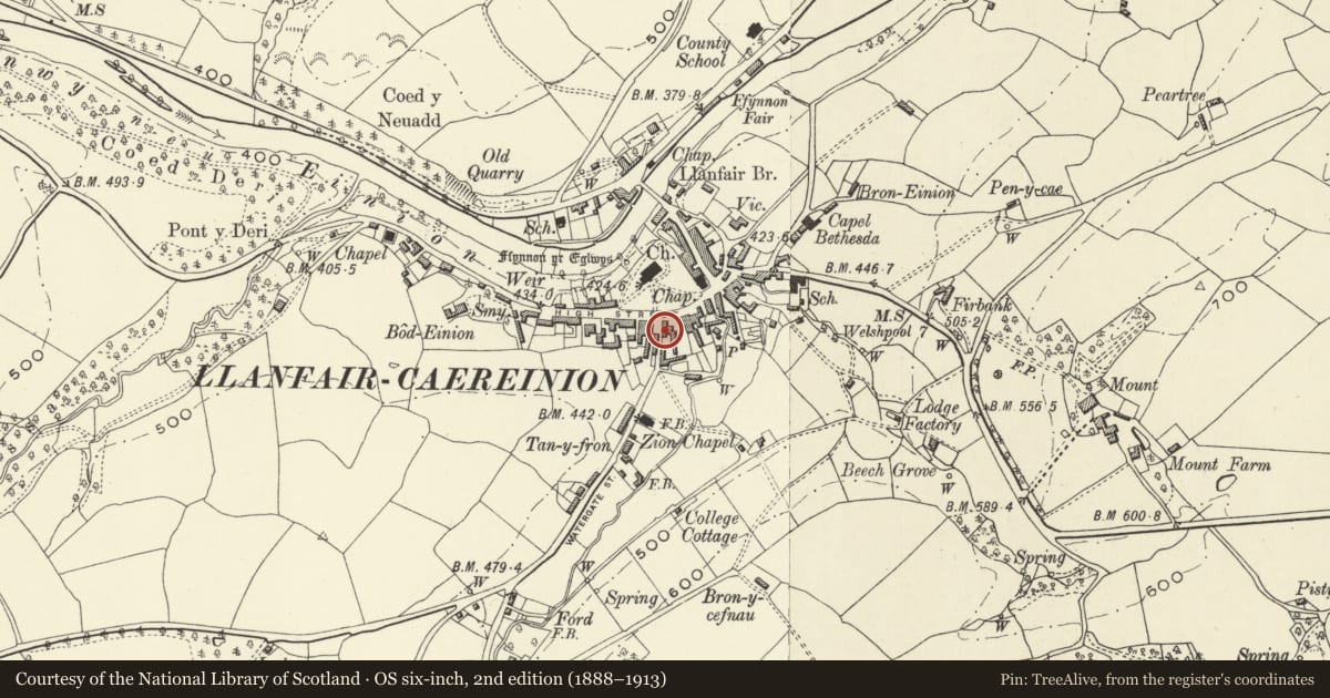 Ordnance Survey six-inch map, 2nd edition (1888–1913) covering the location of Wynnstay Arms Hotel, Llanfair Caereinion, Powys, with a pin at the register's coordinates