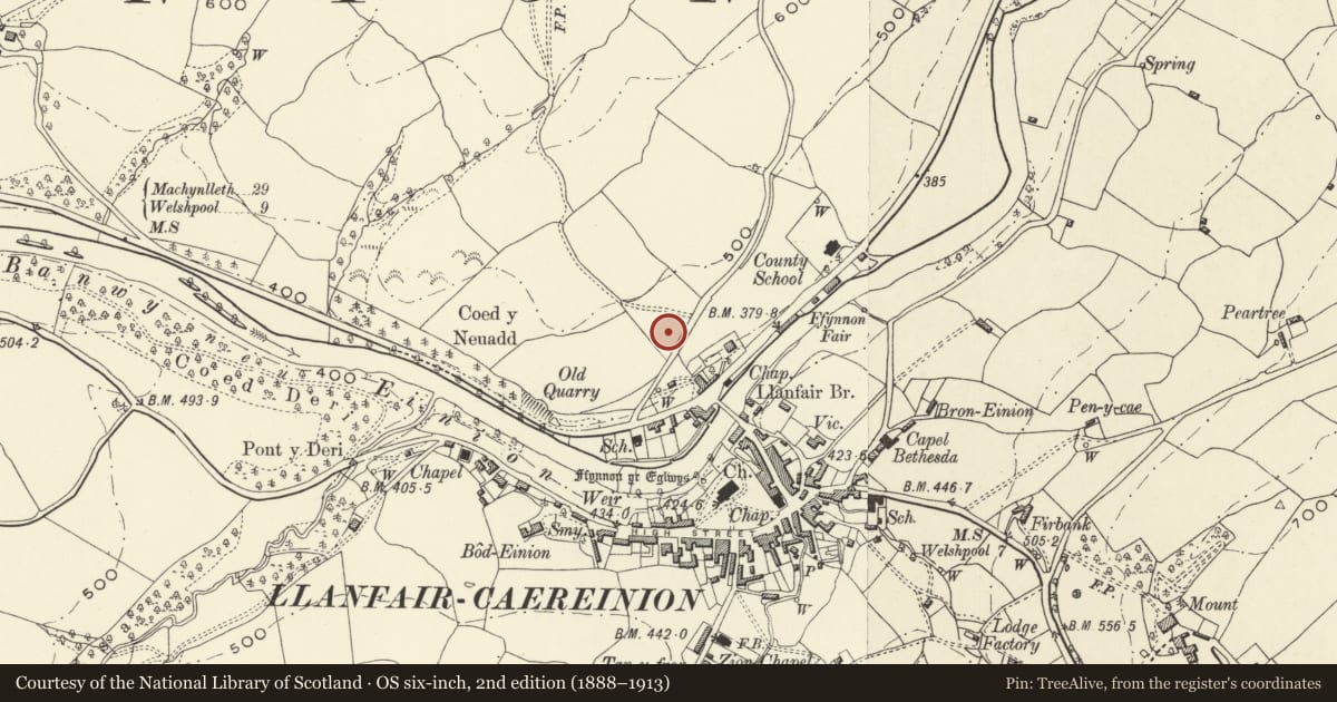 Ordnance Survey six-inch map, 2nd edition (1888–1913) covering the location of Meas-y-Neuadd, Llanfair Caereinion, Powys, with a pin at the register's coordinates