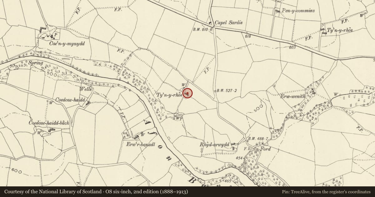 Ordnance Survey six-inch map, 2nd edition (1888–1913) covering the location of Ty'n-y-rhos isaf, Llanfair Caereinion, Powys, with a pin at the register's coordinates