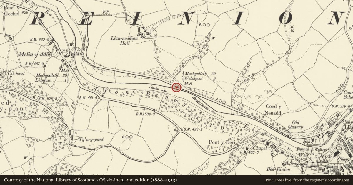 Ordnance Survey six-inch map, 2nd edition (1888–1913) covering the location of Milestone near Llanoddian Hall, Llanfair Caereinion, Powys, with a pin at the register's coordinates