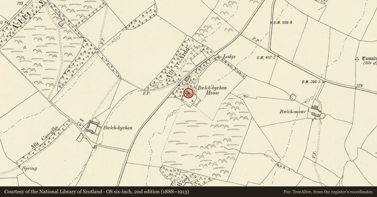 Ordnance Survey six-inch map, 2nd edition (1888–1913) covering the location of Bwlchbychan, Llanwenog, Ceredigion, with a pin at the register's coordinates