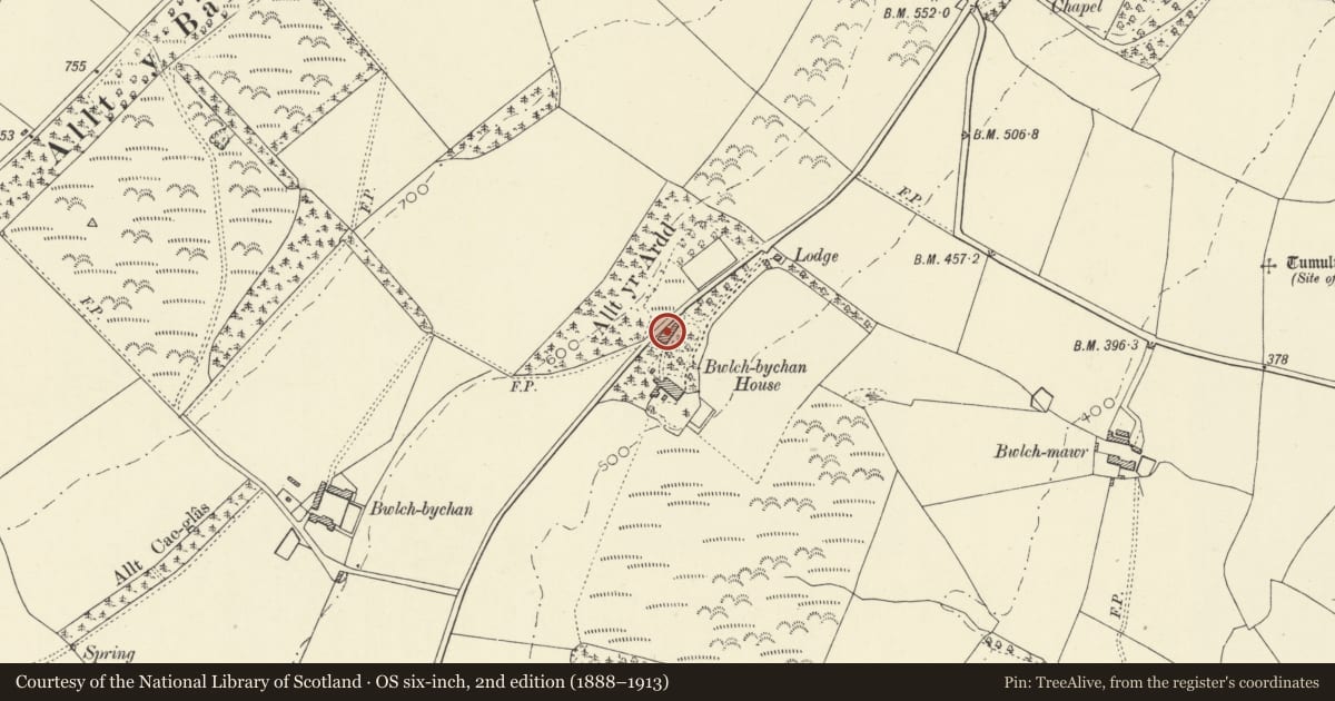 Ordnance Survey six-inch map, 2nd edition (1888–1913) covering the location of Stable and Coach-house Range at Bwlchbychan, Llanwenog, Ceredigion, with a pin at the register's coordinates